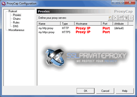 proxycap configuration after adding both http and https proxies