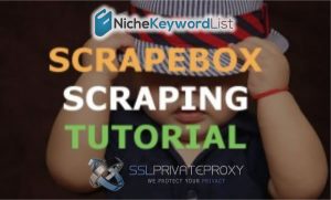 How To Scrape With Scrapebox