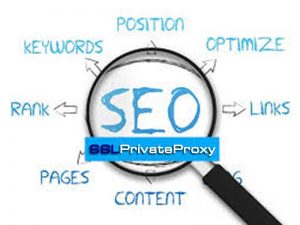 measure ROI on SEO private proxies sslprivateproxy